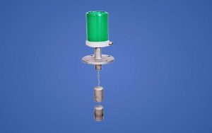 DISPLACER TYPE MAGNETIC LEVEL SWITCH - DS